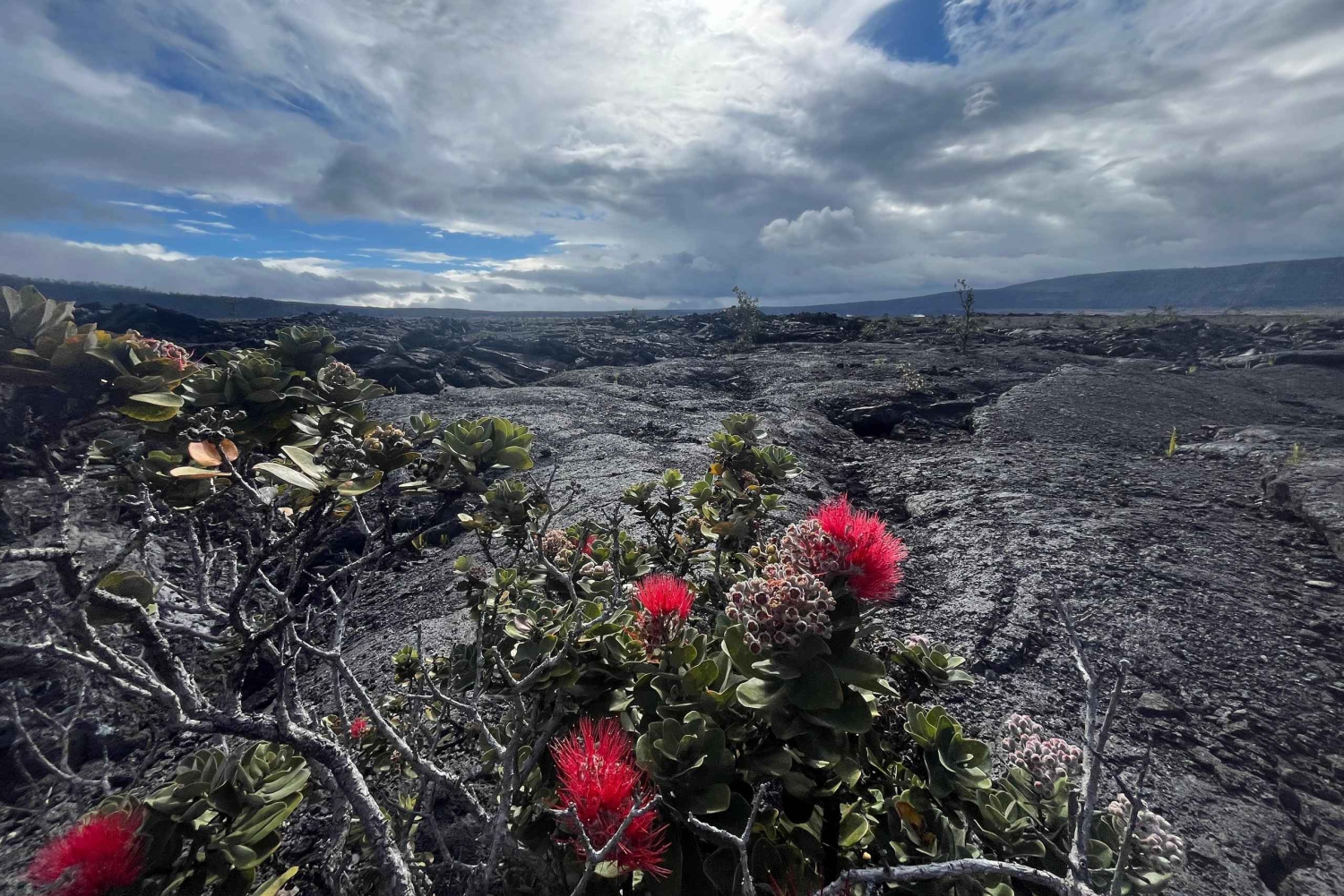 Kīlauea wandeling en lavastaren met inheemse Hawaiiaan