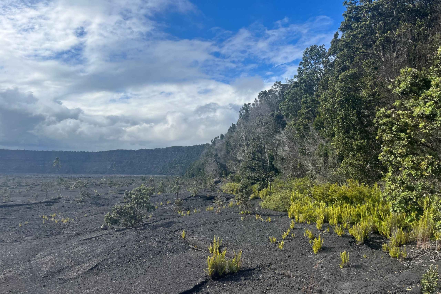 Kīlauea wandeling en lavastaren met inheemse Hawaiiaan