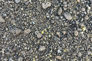 Kīlauea wandeling en lavastaren met inheemse Hawaiiaan