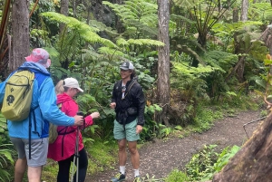 Kilauea: Geführte Wanderung im Volcanoes National Park