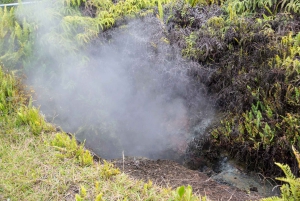 Kilauea: Geführte Wanderung im Volcanoes National Park