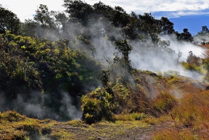 Kilauea: Geführte Wanderung im Volcanoes National Park