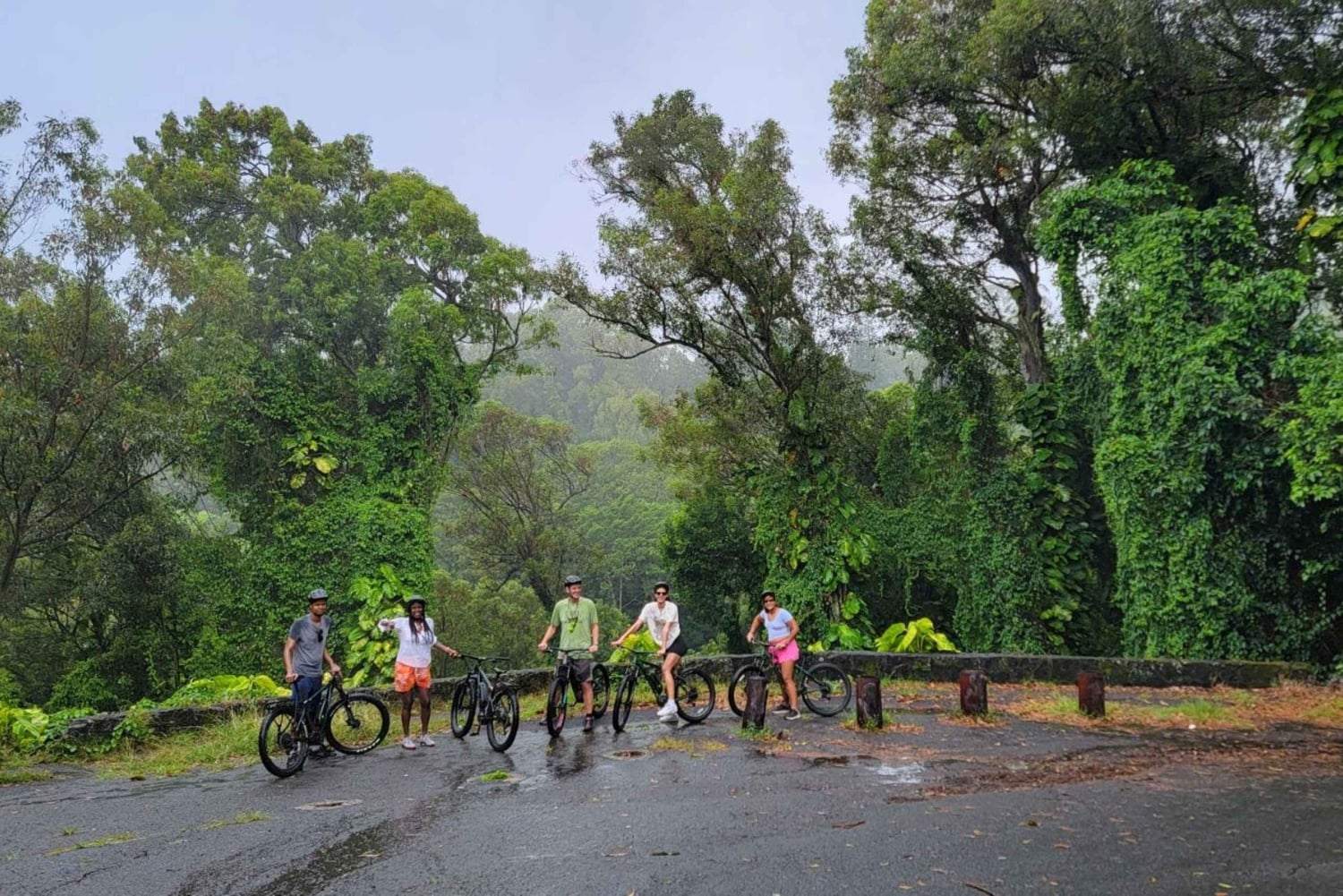 Ko'olau waterval wandeling & afdaling fietsen