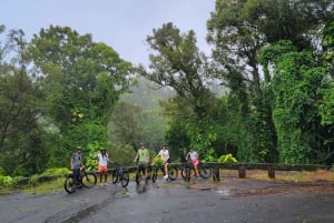 Ko'olau Wasserfall-Wanderung & Downhill Bike