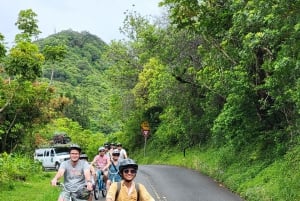 Ko'olau Wasserfall-Wanderung & Downhill Bike