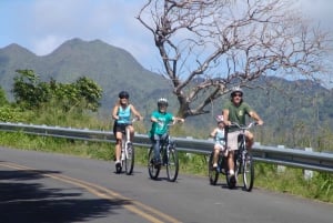 Ko'olau Wasserfall-Wanderung & Downhill Bike