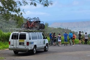 Ko'olau Wasserfall-Wanderung & Downhill Bike
