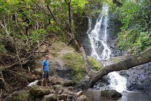 Ko'olau waterval wandeling & afdaling fietsen