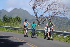 Ko'olau waterval wandeling & afdaling fietsen