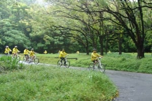 Ko'olau waterval wandeling & afdaling fietsen