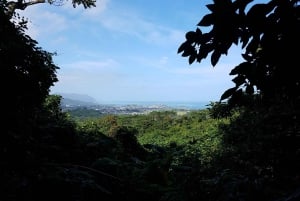 Ko'olau waterval wandeling & afdaling fietsen