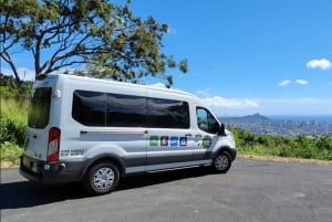 Ko'olau waterval wandeling & afdaling fietsen