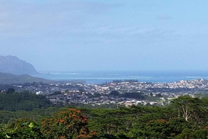 Ko'olau waterval wandeling & afdaling fietsen