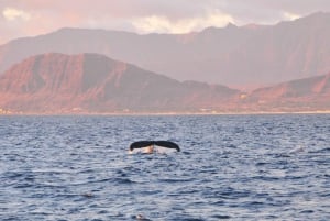 Ko Olina: Oina: Kapteenin auringonlasku + maistelu