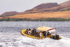 Passeio de mergulho com snorkel em Molokini do Koa Kai Maui