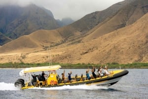 Passeio de mergulho com snorkel em Molokini do Koa Kai Maui