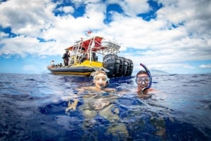 Excursión de snorkel Koa Kai Maui Molokini