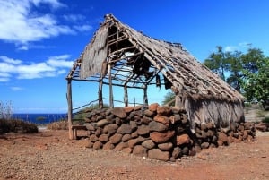 L'arrière-pays de la côte de Kohala sur l'île de Big Island : Visite guidée audioguide