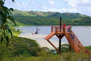Koloa: il tour di zipline più lungo di Kauai con 8 linee