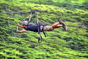 Koloa: il tour di zipline più lungo di Kauai con 8 linee