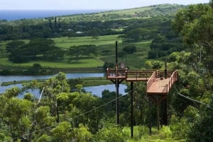 Koloa: il tour di zipline più lungo di Kauai con 8 linee