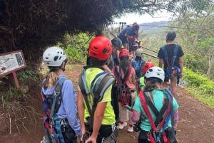 Koloa: il tour di zipline più lungo di Kauai con 8 linee