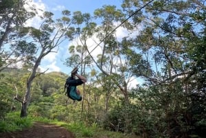 Koloa: il tour di zipline più lungo di Kauai con 8 linee