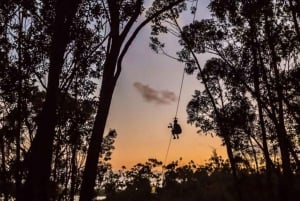 Koloa: il tour di zipline più lungo di Kauai con 8 linee