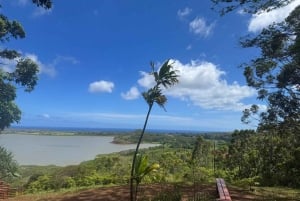 Koloa: il tour di zipline più lungo di Kauai con 8 linee