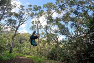 Koloa: Kauai’s Longest 8-Line Zipline Tour