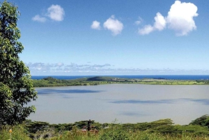 Koloa: Kauai’s Longest 8-Line Zipline Tour