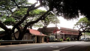 Koloa Shave Ice