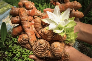 Costa de Kona: Degustación de Café Rooster Farms