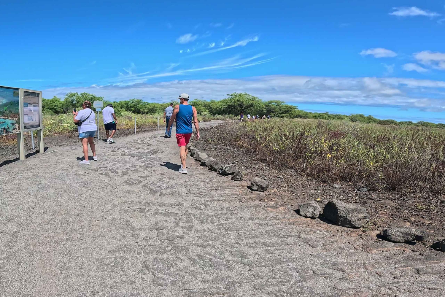 Kona: koffie- en zeeschildpadden-tour