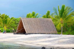 Kona: tour del caffè e delle tartarughe marine