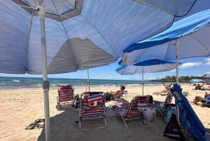 Kona: Cruise Ship Beach Excursion with Tastings