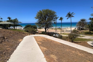 Kona: Cruise Ship Beach Excursion with Tastings