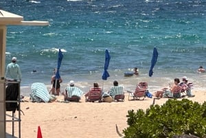 Kona: Cruise Ship Beach Excursion with Tastings