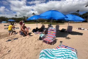 Kona: Cruise Ship Beach Excursion with Tastings