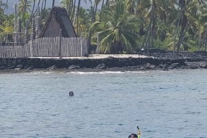 Kona: Deluxe Snorkel Adventure with 2 Snorkeling Spots