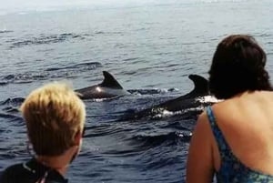 Kona: Aventura de snorkel de luxo com 2 pontos de snorkel