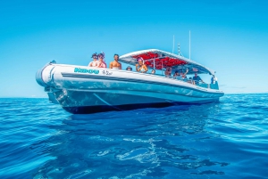 Kona: Speedboat Snorkel Cruise and BBQ on the Boat