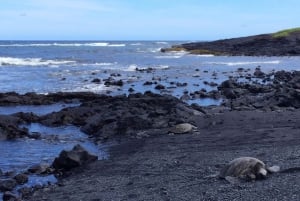Kona: Rundvisning i Hawaii Volcanoes National Park