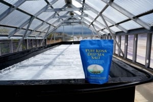 Kona: tour della fattoria del sale hawaiana