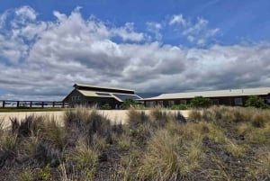 Kona: Hawaiian Salt Farm Tour