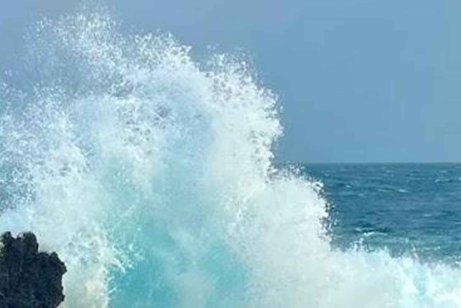 Kona: Himmelsk Hamakua guidet dagsudflugt med afhentning på hotel