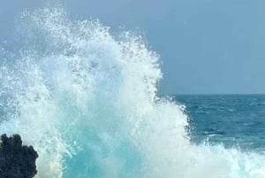 Kona: Himmelsk Hamakua guidet dagsudflugt med afhentning på hotel