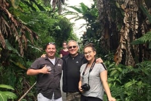 Kona: Himmelsk Hamakua guidet dagsudflugt med afhentning på hotel