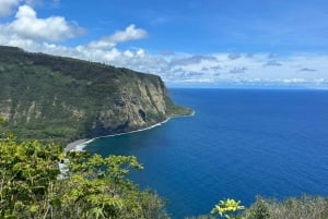 Kona: Himmelsk Hamakua guidet dagsudflugt med afhentning på hotel