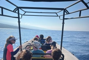 Kona Hi, Sunset Manta Ray Tour 10 passengers maximum